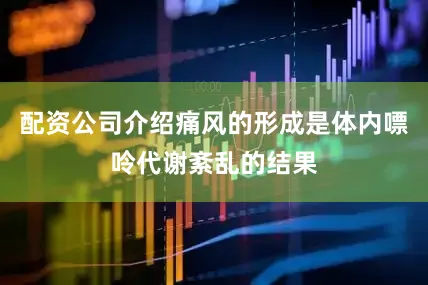 配资公司介绍痛风的形成是体内嘌呤代谢紊乱的结果