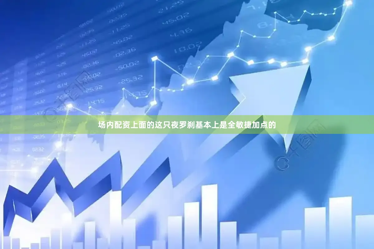 场内配资上面的这只夜罗刹基本上是全敏捷加点的