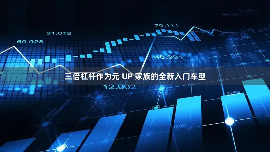 三倍杠杆作为元 UP 家族的全新入门车型