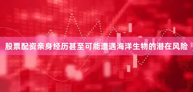 股票配资亲身经历甚至可能遭遇海洋生物的潜在风险